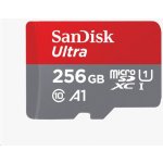 Sandisk SDXC UHS-I U1 256 GB SDSQUNR-256G-GN6TA – Zbozi.Blesk.cz