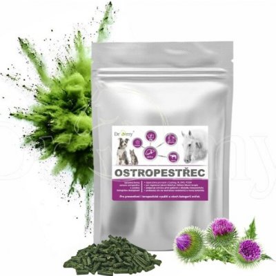 Dromy Ostropestřec se spirulinou 3 kg – Hledejceny.cz