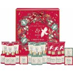 Baylis & Harding 24 Days of Beauty sprchový gel 10 ks 30 ml + sprchový krém 4 ks 30 ml + krém na ruce 4 ks 30 ml + pěna do koupele 5 ks 30 ml + sůl do koupele 5 ks 25 g + tělové mléko 2 ks 30 ml + těl – Hledejceny.cz