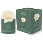 Sweet Home Collection difuzér s dřevěnou vonící květinou Pačuli a cedrové dřevo 140 ml – Hledejceny.cz