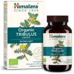 Himalaya Tribulus 60 kapslí – Hledejceny.cz
