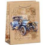 ARGUS Dárková papírová taška (18.3 x 24.3 cm) 07440145 – Sleviste.cz