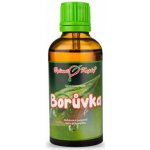 Bylinné kapky Borůvka tinktura z pupenů 50 ml – Hledejceny.cz