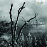 Bach Johann Sebastian - Trio Sonatas CD – Hledejceny.cz