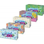 Zewa Everyday papírové kapesníčky 2-vrstvé 100 ks – Zboží Dáma