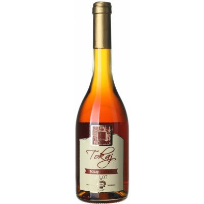 Tokaj & Co Tokajské vína 5-putnový sladké bílé 2007 10,5% 0,5 l (holá láhev) – Hledejceny.cz