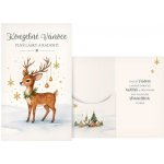 MFP Přání Vánoční s klopou na peníze - Kouzelné Vánoce – Zboží Dáma