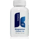 Kompava Magnézium chelát + vitamín B6 120 kapslí – Hledejceny.cz