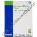 Epson C13S042095