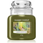 Yankee Candle Autumn Nature Walk 411 g – Hledejceny.cz