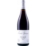 Jaroslav Springer Pinot noir Čtvrtě 2021 12,5% 0,75 l (holá láhev) – Zboží Dáma