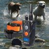 Výcvik psů Dogtra elektronický výcvikový obojek Dogtra 642C