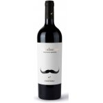 MANDURINO Primitivo Di Manduria DOP BIO-VEGAN 2019 16% 0,75 l (holá láhev) – Hledejceny.cz