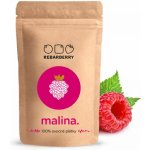 Chytré ovoce 100 % ovocné plátky REBARBERRY malina 50 g – Zboží Dáma