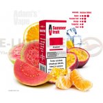 Adams vape Salt Summer Fruit 10 ml 10 mg – Zboží Mobilmania