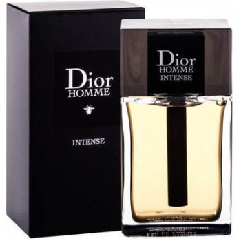 Christian Dior Intense 2011 parfémovaná voda pánská 100 ml