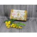 Nesti Dante Dei colli Fiorentini mýdlo Janovec 250 g – Zboží Dáma