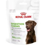 Royal Canin Digestion Adult Dog Supplements 160 g – Zboží Mobilmania