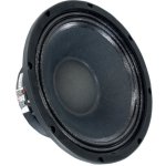 Visaton PAW 25 – Zboží Živě