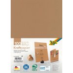 Folia Kraftový papír 120 g/m2 - 100 listů – Zboží Dáma