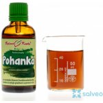 Bylinné kapky tinktura Pohanka nať 50 ml – Hledejceny.cz