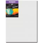 Octopus Professional malířské plátno 350 g 40 x 60 cm – Zboží Mobilmania