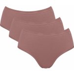 Triumph Dámské kalhotky SLOGGI GO DAILY COTTON MIDI 3P CACAO – Hledejceny.cz