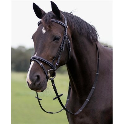 QHP Kožená uzdečka s prošíváním černá – Zboží Dáma
