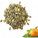 Aniland Dýňové semínko Loupané 100 g – Zboží Mobilmania