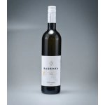 Vinařství Kadrnka Sauvignon K2 Stará hora pozdní sběr 2023 12,5% 0,75 l (holá láhev) – Hledejceny.cz
