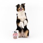 Magnum Duck Sushi 80 g – Zboží Dáma Magnum Duck Sushi 80 g – Zboží Dáma