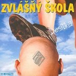 Zvlášňý škola - Desítka CD – Hledejceny.cz