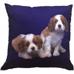 Dadka polštář Dva béžovohnědí psi 40x40 – Zbozi.Blesk.cz