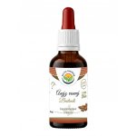 Salvia Paradise Anýz AF tinktura 50 ml – Hledejceny.cz