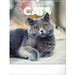 nástěnný Kočky 30 x 34 cm 2026 – Sleviste.cz