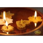 Pleva Plovoucí svíčka ze včelího vosku 4 cm – Zbozi.Blesk.cz