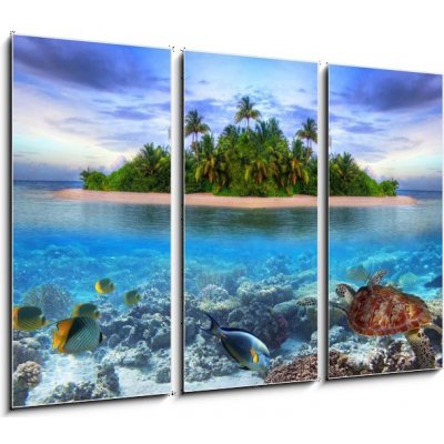 Obraz 3D třídílný - 105 x 70 cm - Marine life at tropical island of Maldives Mořský život na tropickém ostrově Maledivy – Zboží Mobilmania