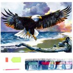 Norimpex Diamantové malování Orel 30 x 40 cm – Sleviste.cz