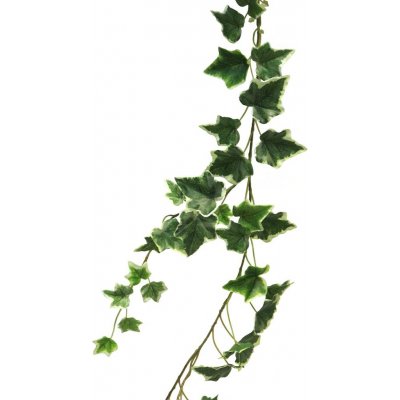 Břečťan 'Chicago' girlanda barevná D180 cm (98 listů) – Hledejceny.cz