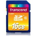Transcend SDHC 16 GB Class 10 TS16GSDHC10 – Hledejceny.cz