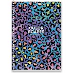 Shkolyaryk Kroužkový blok Romantic A5 čtverečkovaný 80 listů – Zboží Dáma