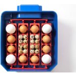 Borotto Lumia 16 Automatic Líheň – Zboží Mobilmania