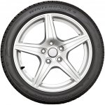 Firestone Winterhawk 4 225/45 R18 95V – Hledejceny.cz