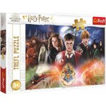 TREFL Tajemný Harry Potter 300 dílků – Zbozi.Blesk.cz