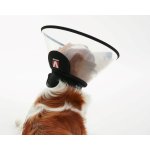 Buster Límec ochranný plastový Complete Collar 25 cm – Sleviste.cz
