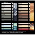 Henkel Ceresit CE 40 2 kg crocus – Zbozi.Blesk.cz