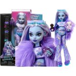 Mattel Monster High Doll Abbey Bominable With Pet HNF64 – Zbozi.Blesk.cz