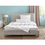 OBB Kazetová přikrývka z prachového peří Elegance středně teplá 135x200 – Sleviste.cz