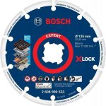 Bosch Diamantový kotouč na kov 125 mm 2608900533 – Hledejceny.cz