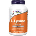Now Foods L-Lysine 500 mg 250 rostlinných kapslí – Hledejceny.cz